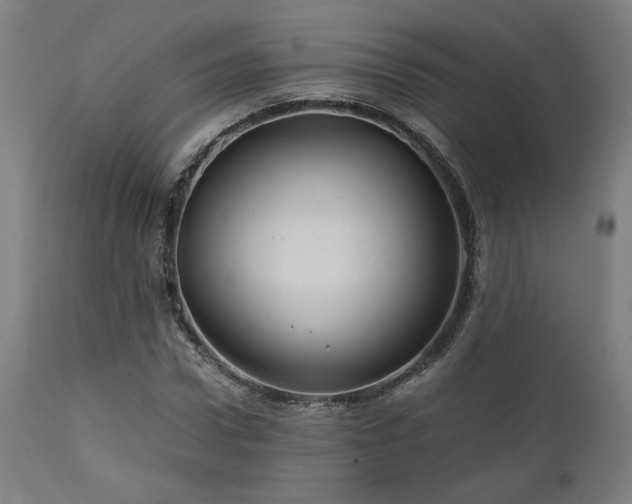 X0000111030922200906251301