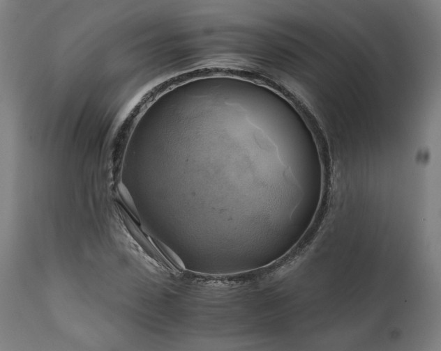 X0000111030923200906251301