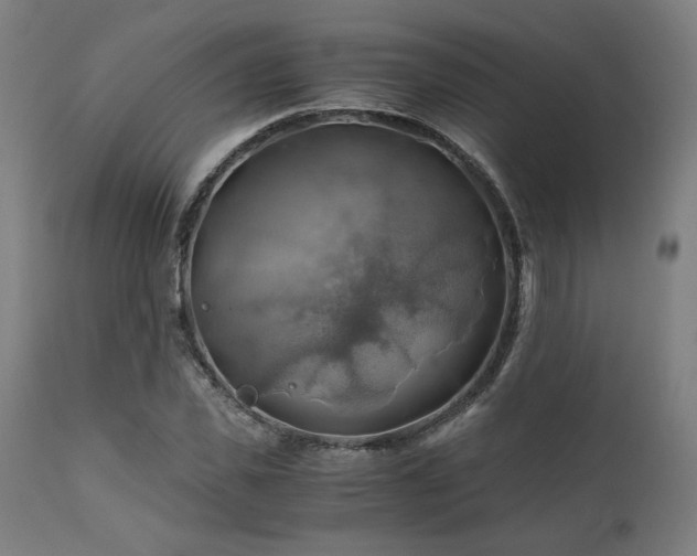 X0000111030925200906251301