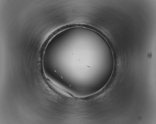 X0000111030926200906251301
