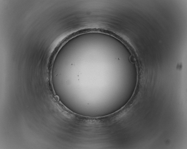 X0000111030927200906251301