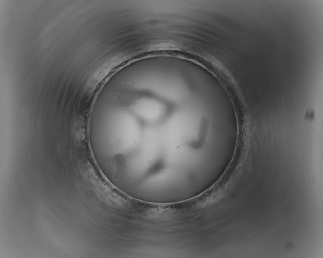 X0000111030929200906251301