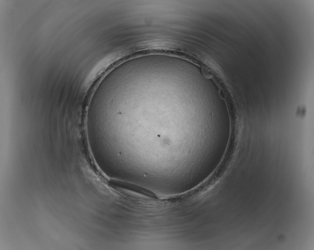 X0000111030930200906251301