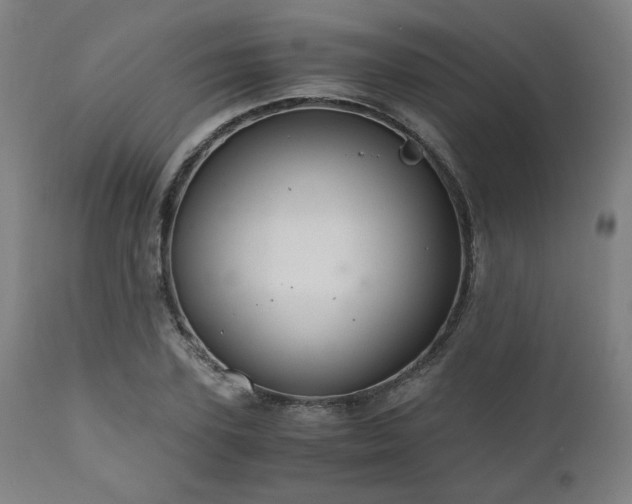X0000111030931200906251301