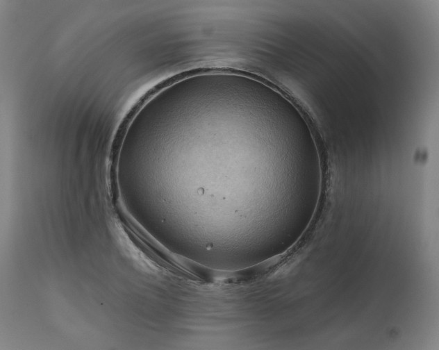 X0000111030932200906251301