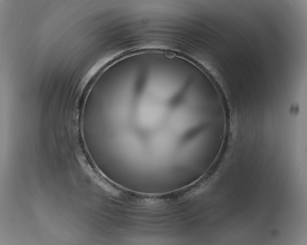 X0000111030933200906251301