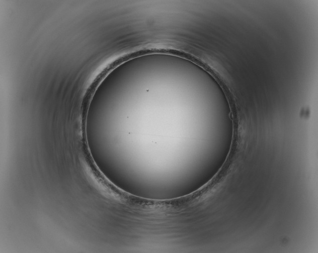 X0000111030934200906251301
