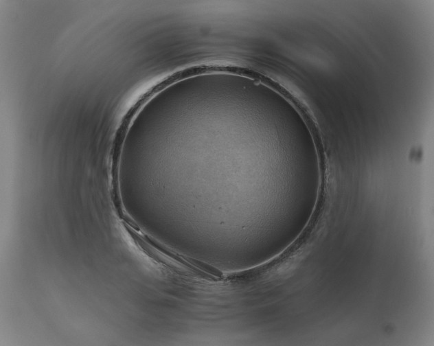 X0000111030935200906251301