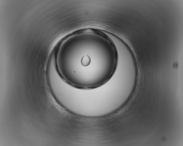 X0000111030936200906251301