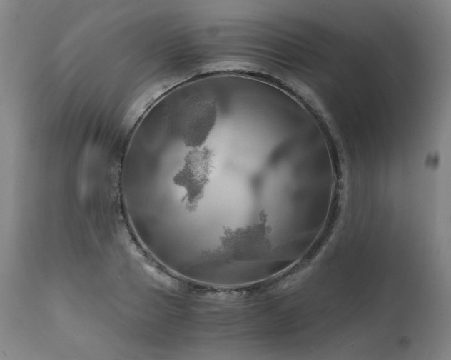 X0000111030937200906251302