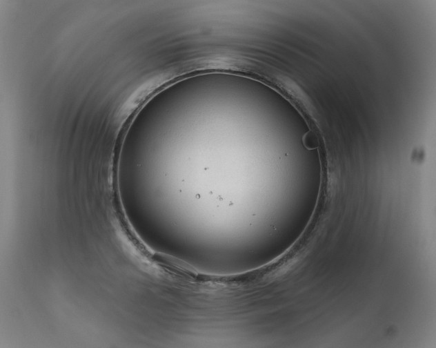 X0000111030938200906251302