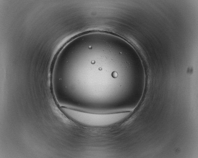 X0000111030940200906251302