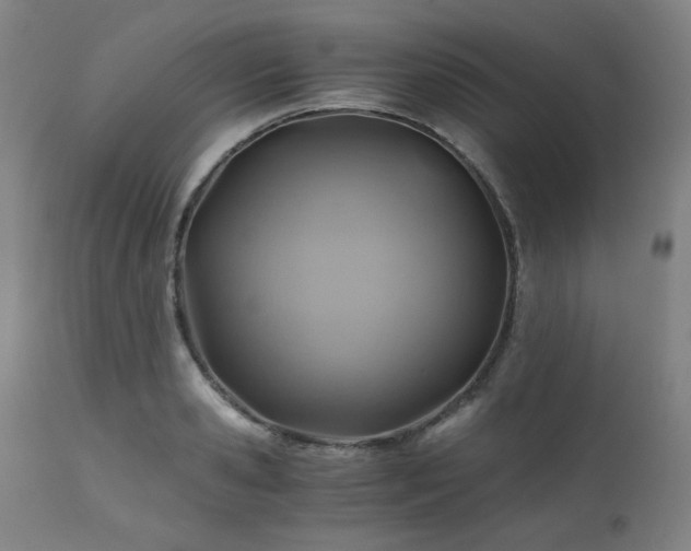 X0000111030941200906251302