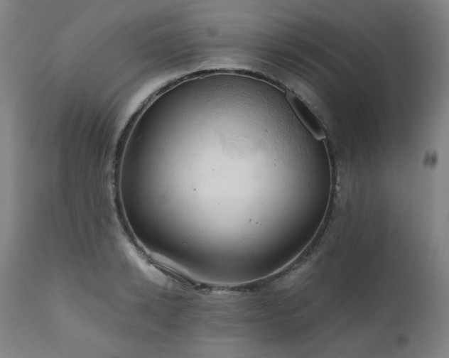 X0000111030942200906251302