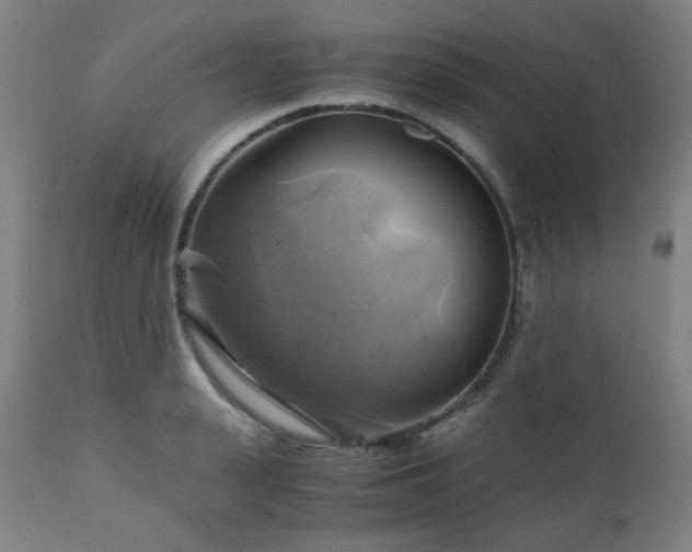 X0000111030943200906251302