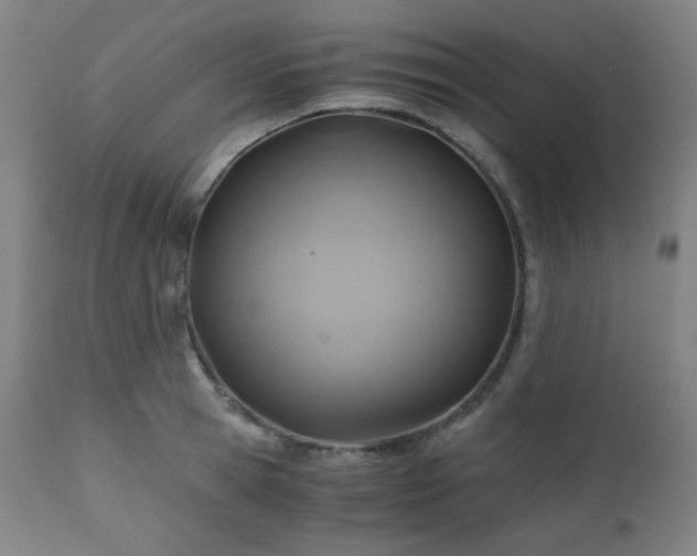 X0000111030945200906251302