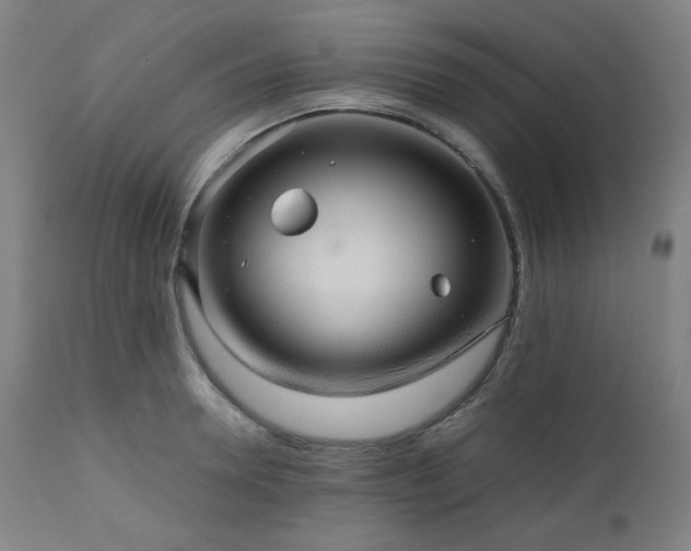 X0000111030946200906251302