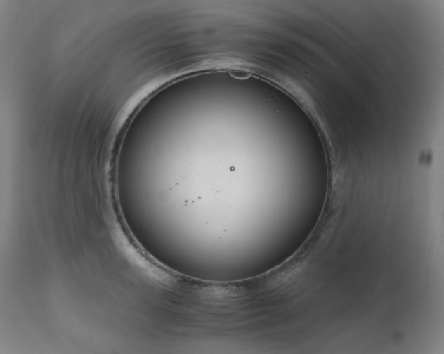 X0000111030947200906251302