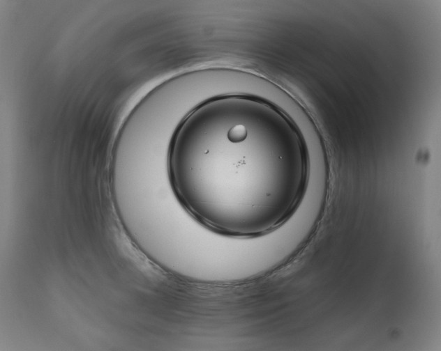 X0000111030948200906251302