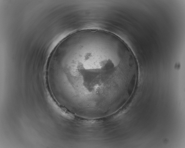 X0000111030949200906251302