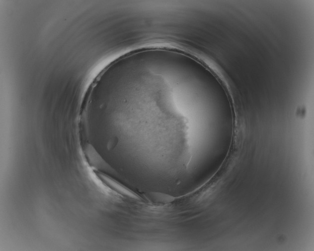 X0000111030951200906251302
