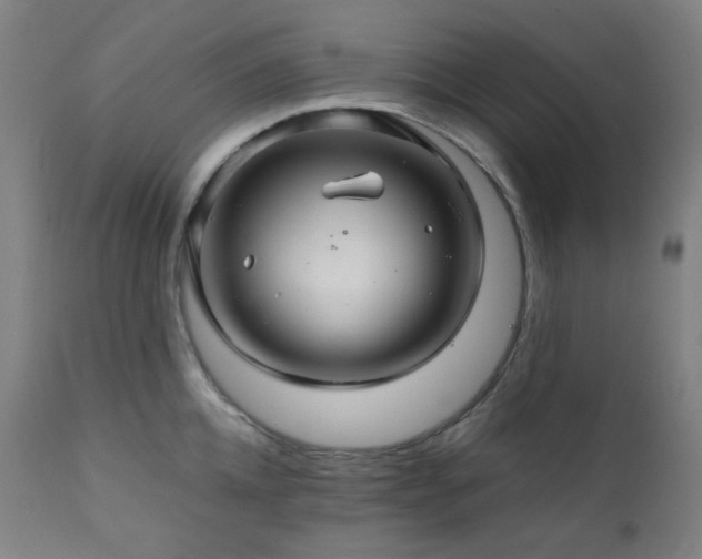 X0000111030952200906251302