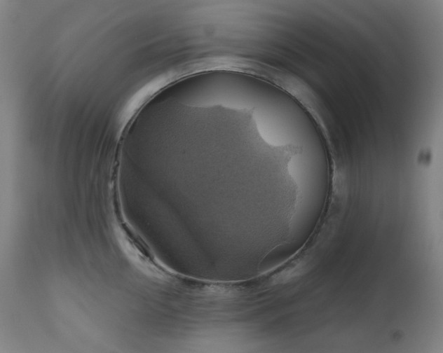 X0000111030954200906251302