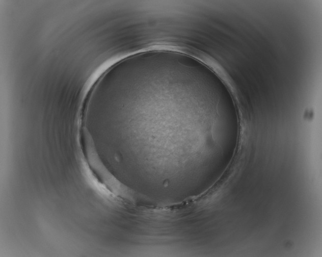 X0000111030955200906251302
