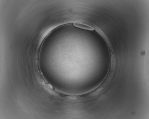 X0000111030956200906251302