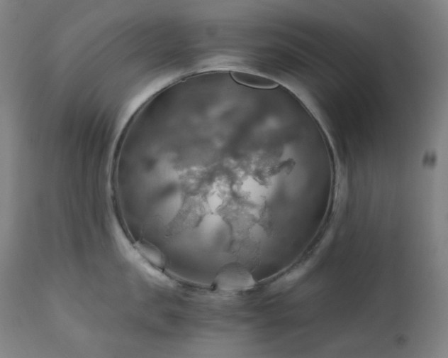X0000111030957200906251302