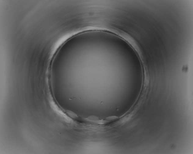 X0000111030958200906251302