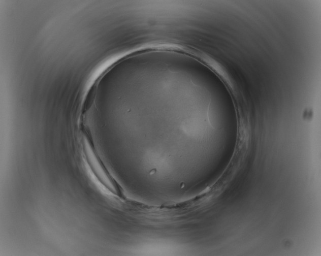X0000111030959200906251302
