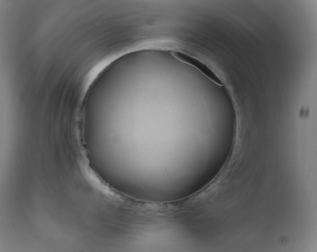 X0000111030960200906251302