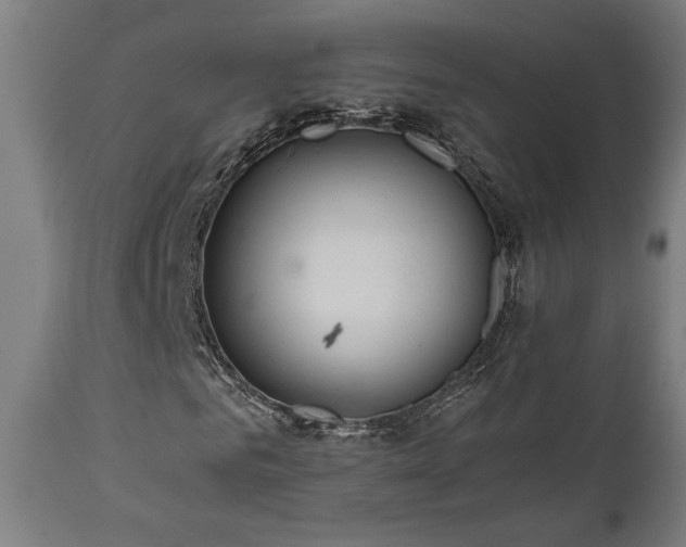X0000111030961200906251301