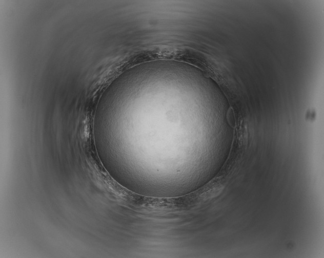 X0000111030962200906251301