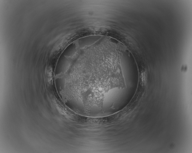 X0000111030963200906251301