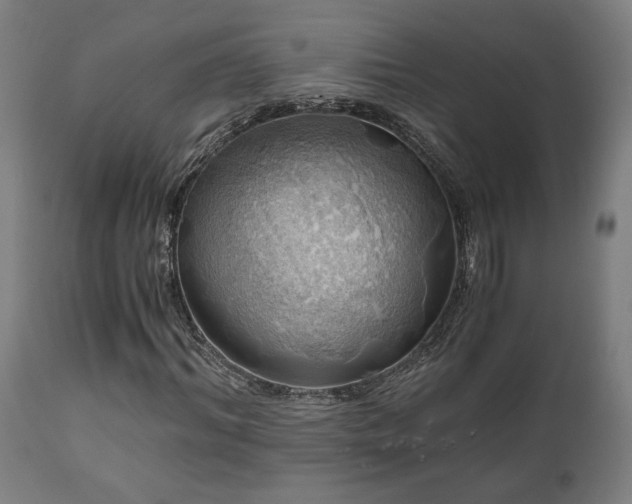 X0000111030964200906251301
