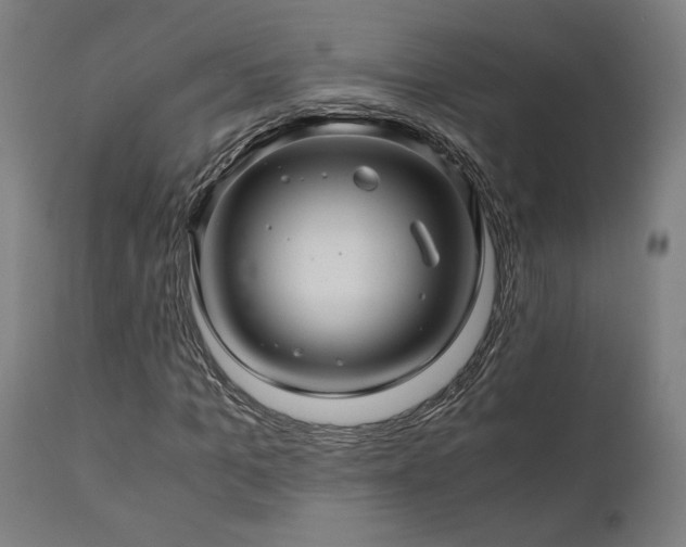 X0000111030965200906251301
