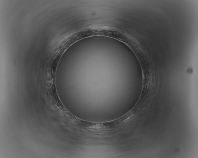 X0000111030966200906251301