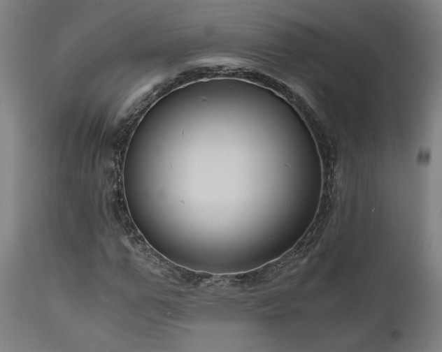 X0000111030967200906251301