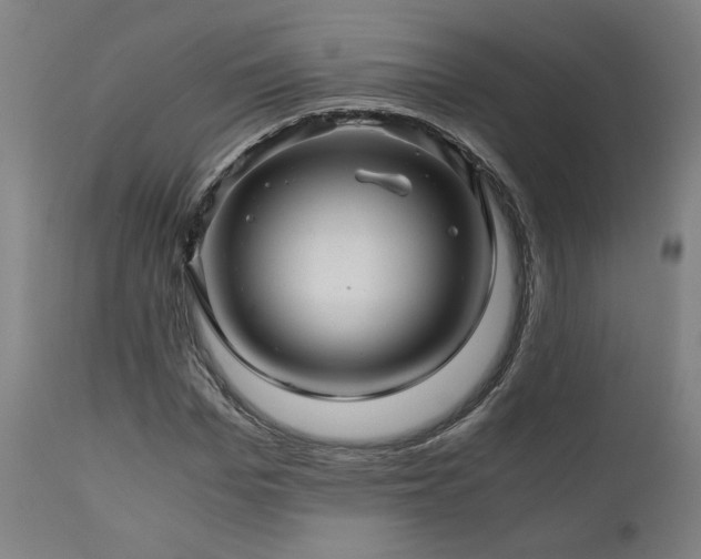 X0000111030969200906251301