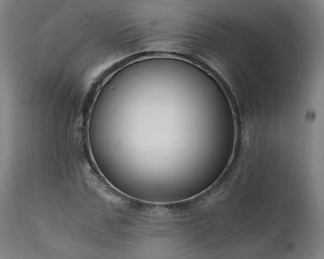 X0000111030971200906251301
