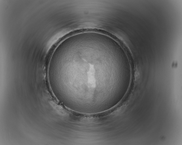 X0000111030973200906251301
