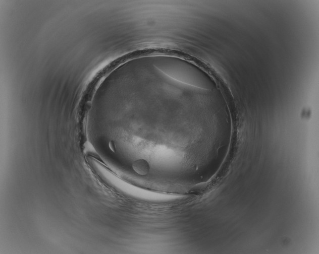 X0000111030975200906251301