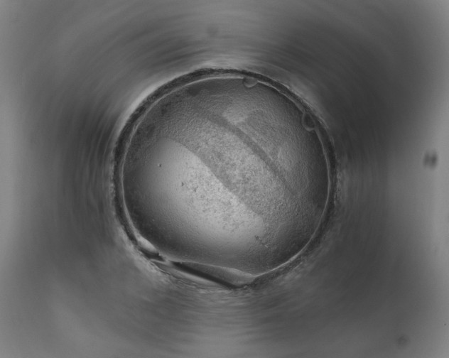 X0000111030976200906251301