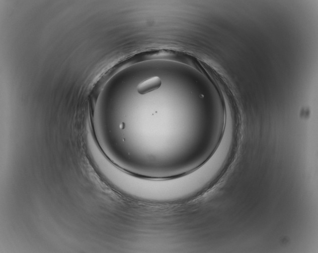 X0000111030977200906251301