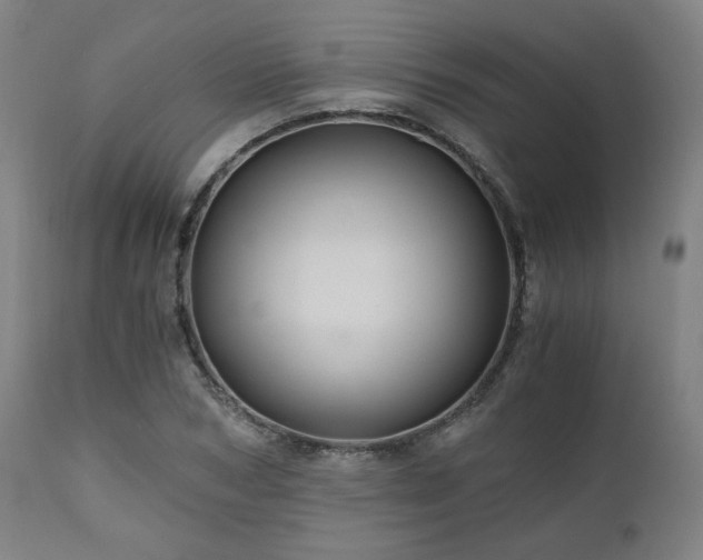 X0000111030978200906251301