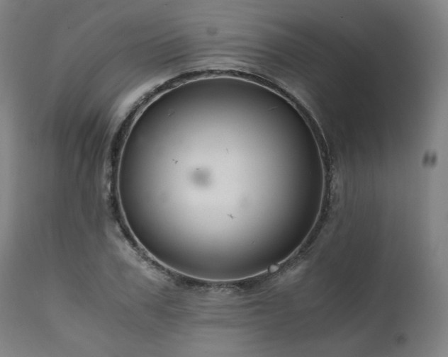 X0000111030979200906251301