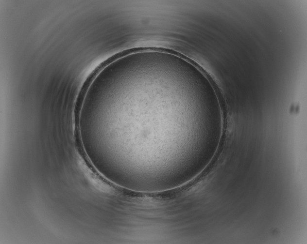 X0000111030980200906251301