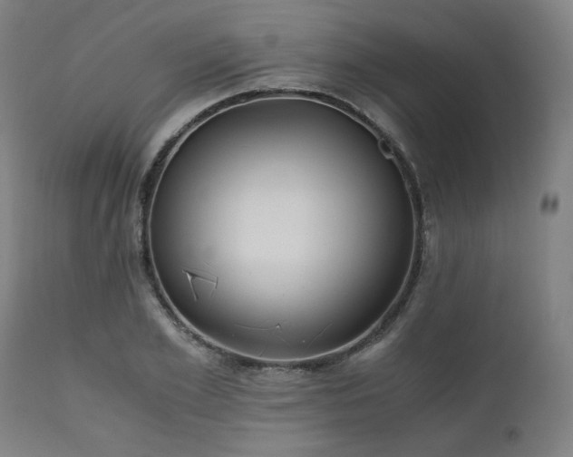 X0000111030981200906251301